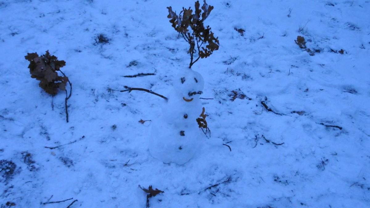 Bonsai-Schneemann