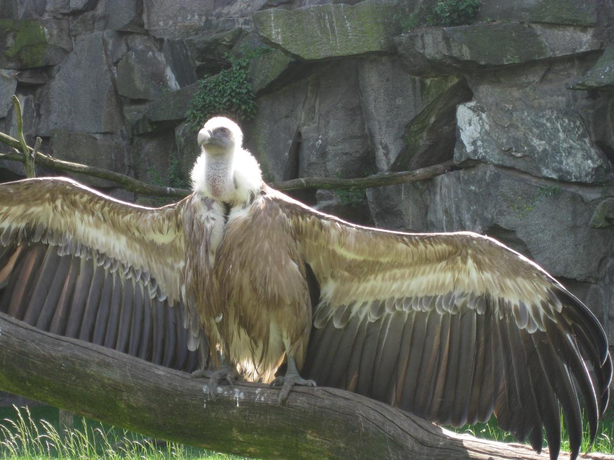 Tierpark Berlin 2009 30