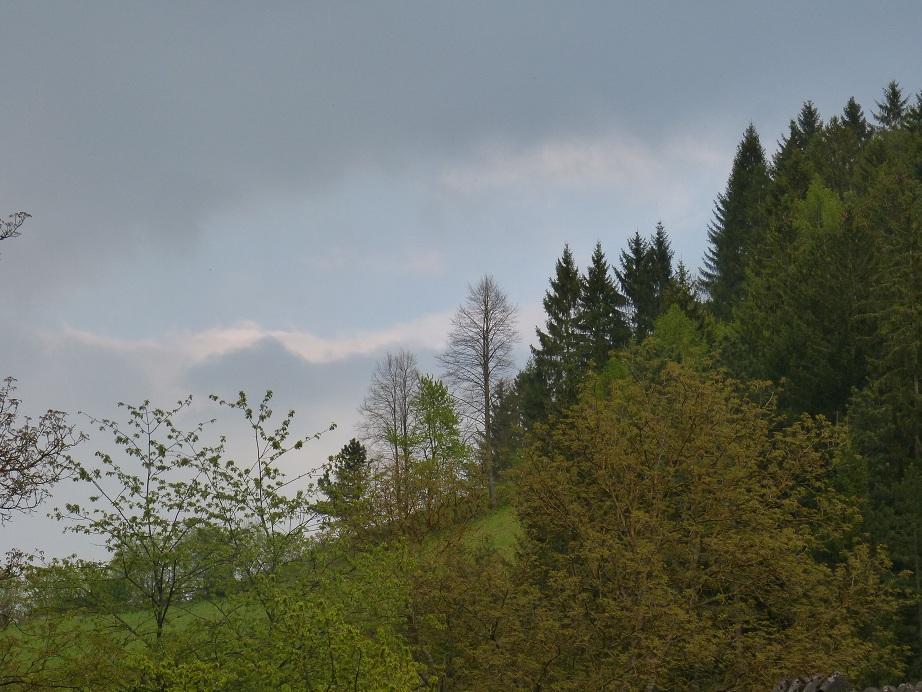 P1020326