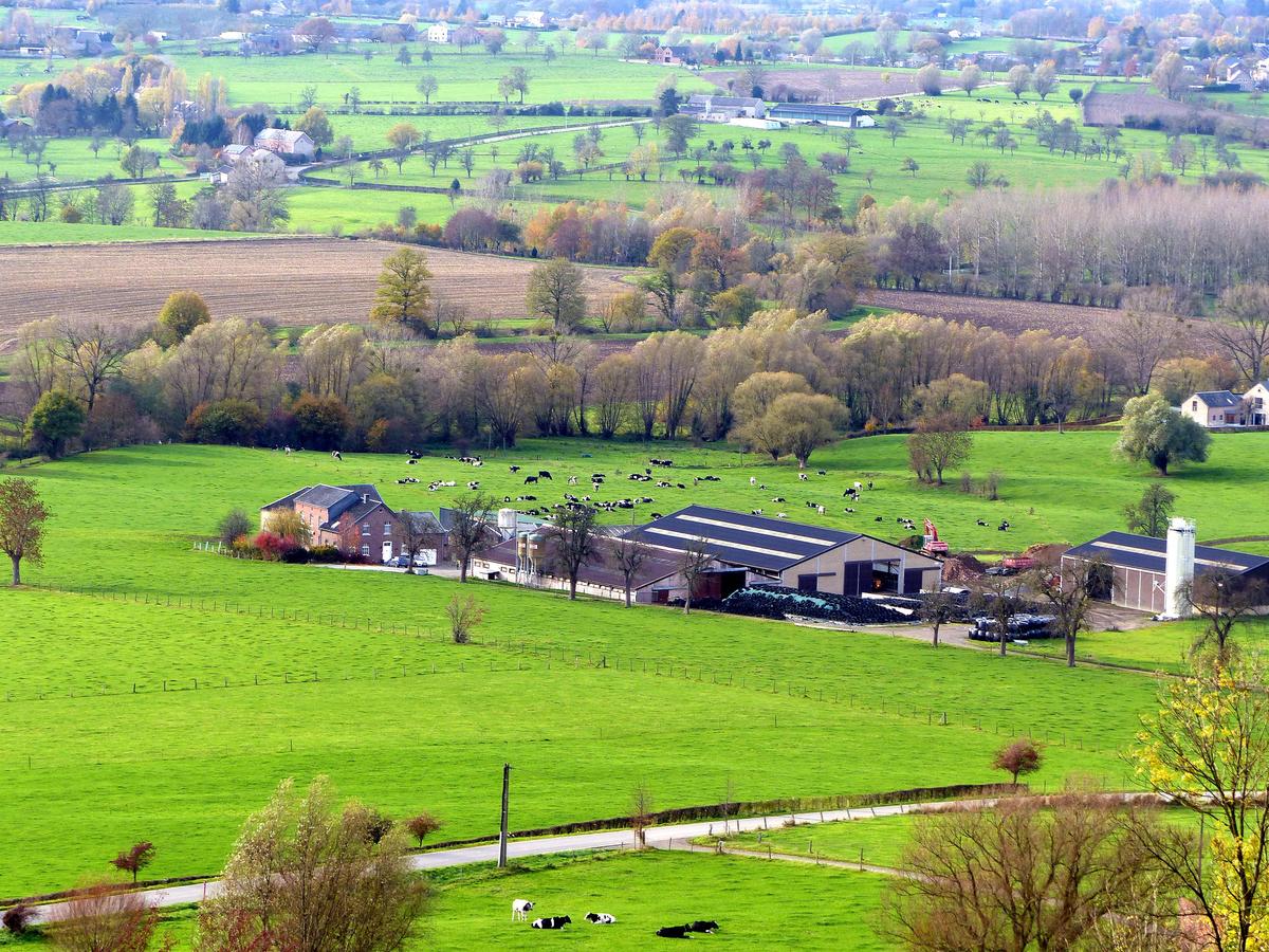 green-green-grass-of-belgium 22856226840