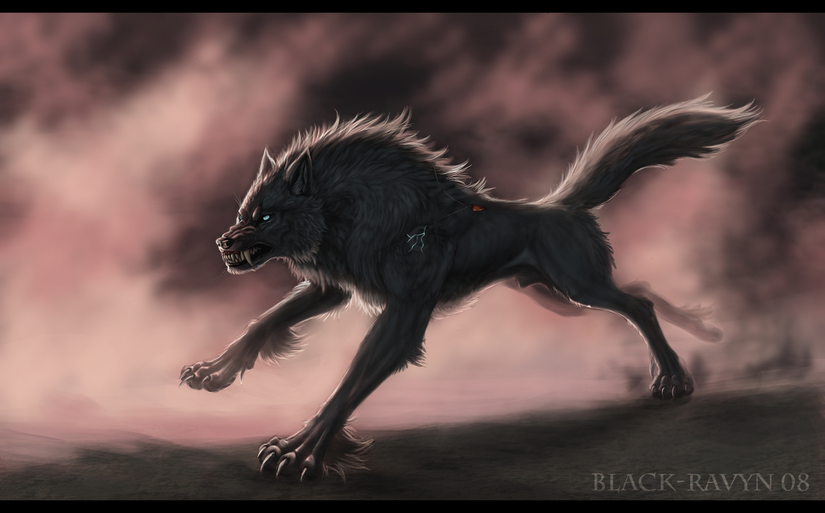 black ravyn  wolf of shadows by inkydemo