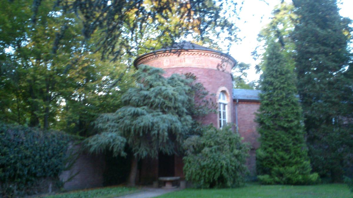 DSC 0095