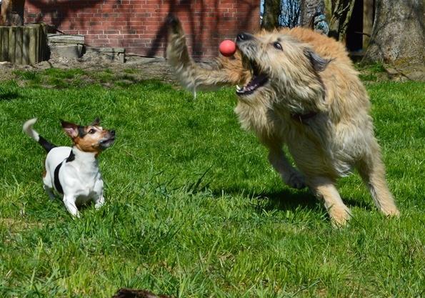 erster fruehlingsnachmittag 19