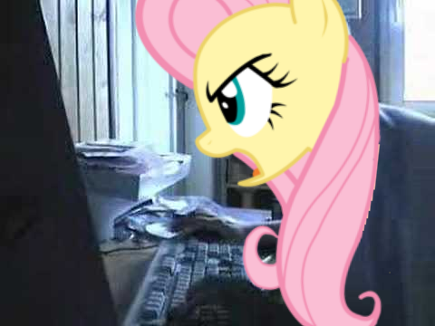 Angry german Fluttershy