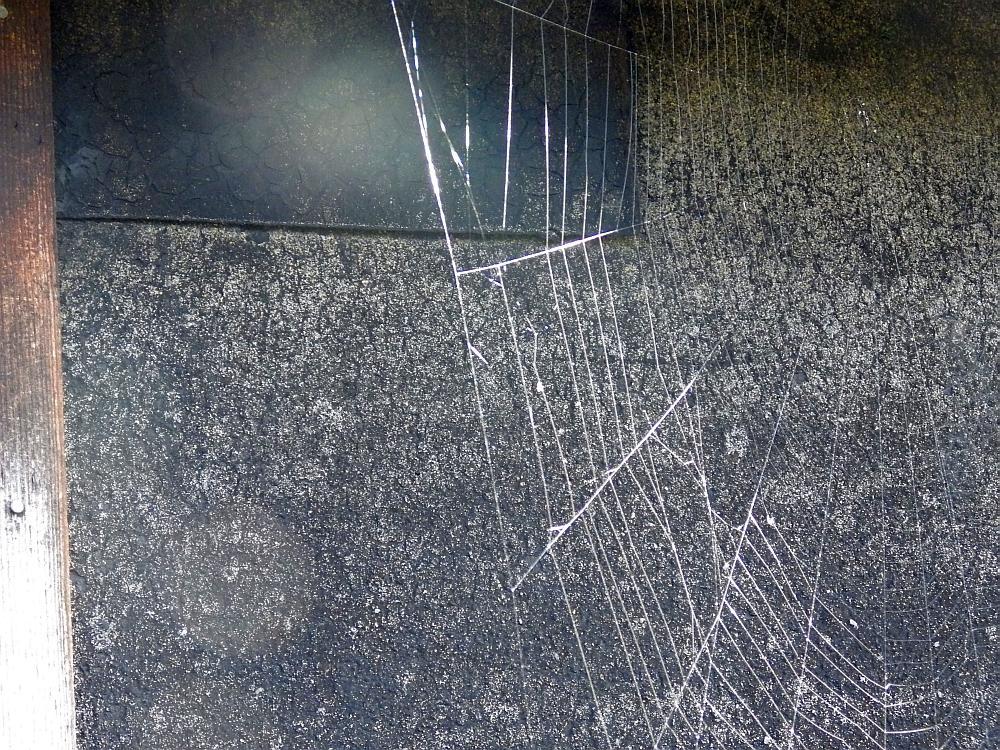  KK 7093 Spinnennetz