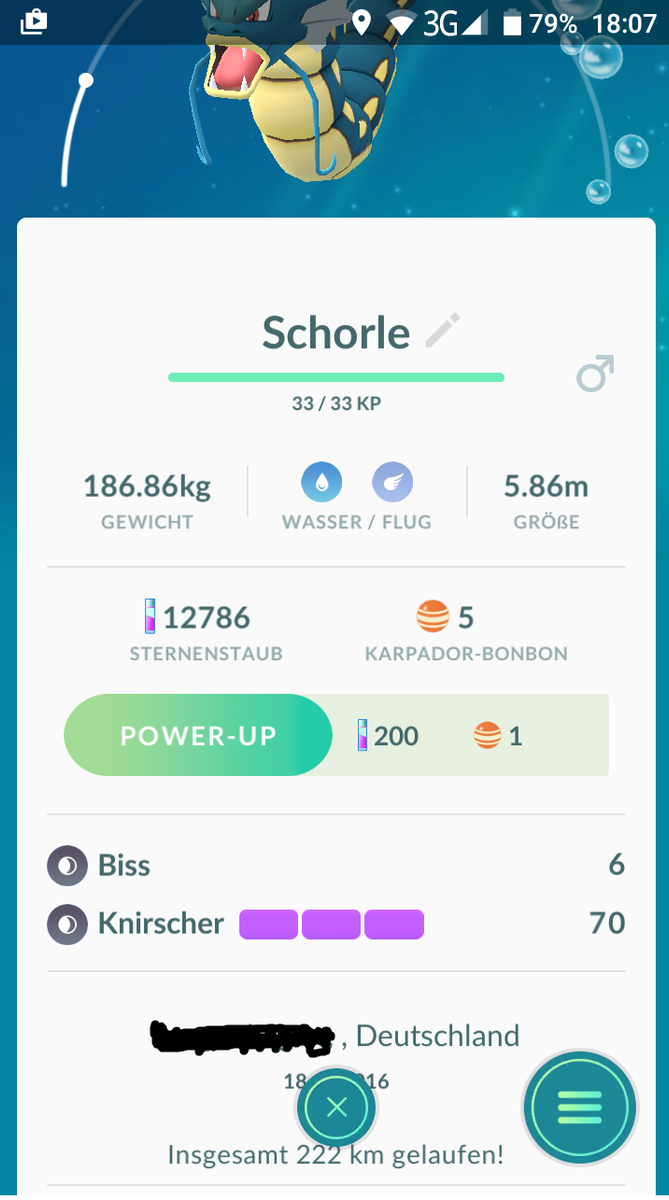 schorle