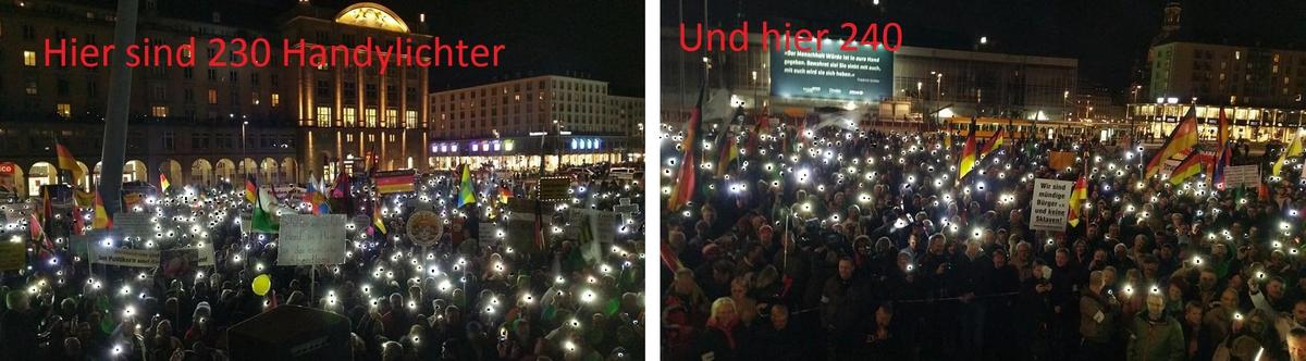 Pegida Zuschauer