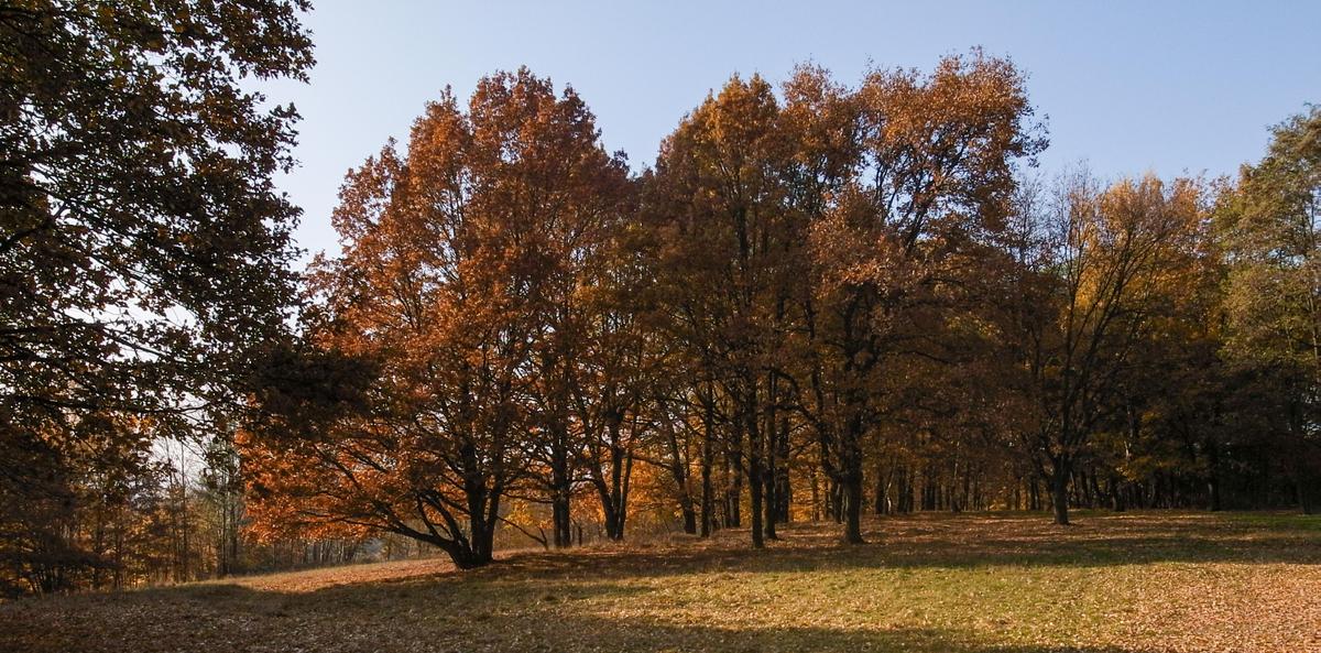 Herbstgefuehl