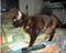 Profil von Patty