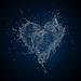 Profil von oceanghost