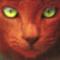 Profil von Warriorcats