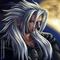 Profil von Xemnas