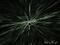 Profil von The_Witch
