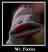 Profil von Mr.fizzles