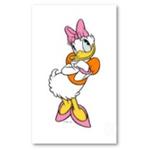 Profil von daisyduck