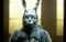 Profil von whiterabbit1