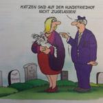 Profil von kf1801