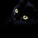 Profil von yenna