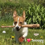 Profil von Interested