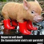 Profil von Auweia