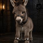 Profil von eselchen