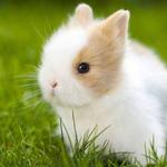 Profil von Phantom_773