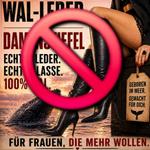 Profil von EnyaVanBran