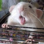 Profil von Kältezeit