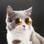 Profil von Luna2019