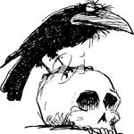 Profil von Lillekatt