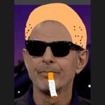 Profil von Findibus