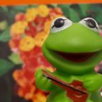 Profil von Wunderfitzchen