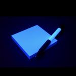 Profil von Schwarzlicht