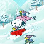 Profil von Suppengespenst