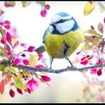 Profil von Suppengespenst