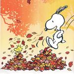 Profil von Suppengespenst