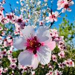 Profil von MarthaHaarig