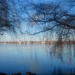 Profil von MarthaHaarig