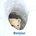 Profil von lapis_lazuli