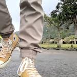 Profil von Bumfuzzle