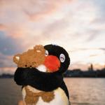 Profil von mattastic