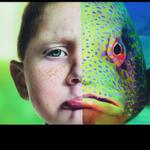 Profil von Fishface