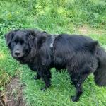 Profil von Milanthrop