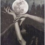 Profil von MetaLunaria