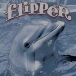 Profil von Siegelschild