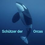 Profil von orlets