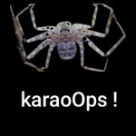 Profil von orlets