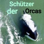 Profil von orlets