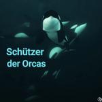 Profil von orlets