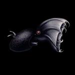 Profil von orlets